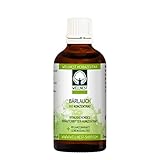 Wellnest Bärlauch Bio Pflanzenkraft Konzentrat 50 ml | o